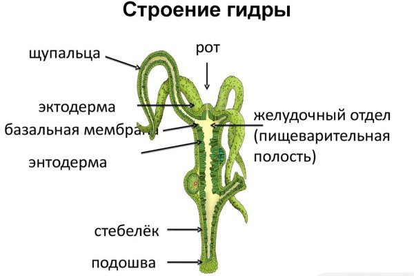 Как восстановить аккаунт на кракене