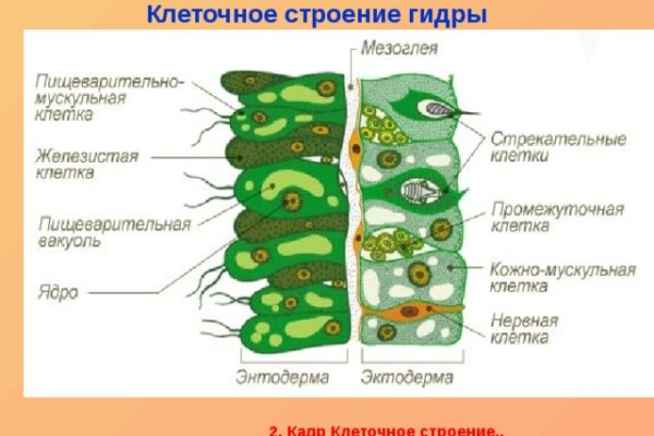 Кракен 9 at