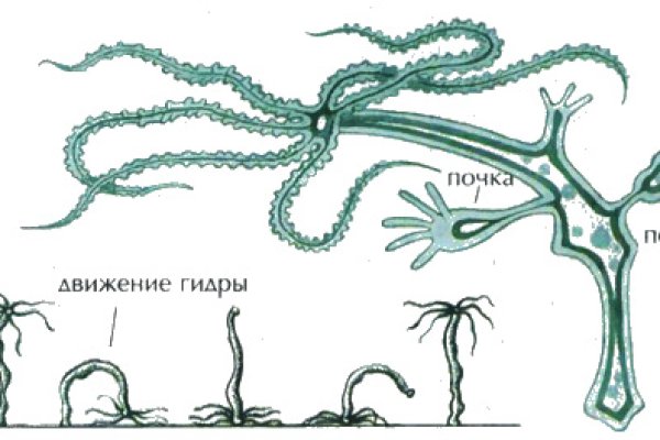 Кракен маркет что это такое