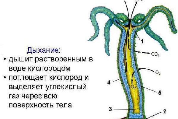 2krn сс что это такое