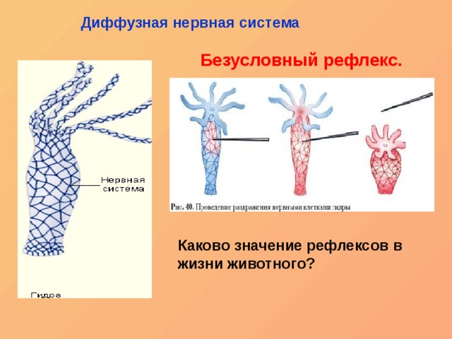 Кракен вход на сайт